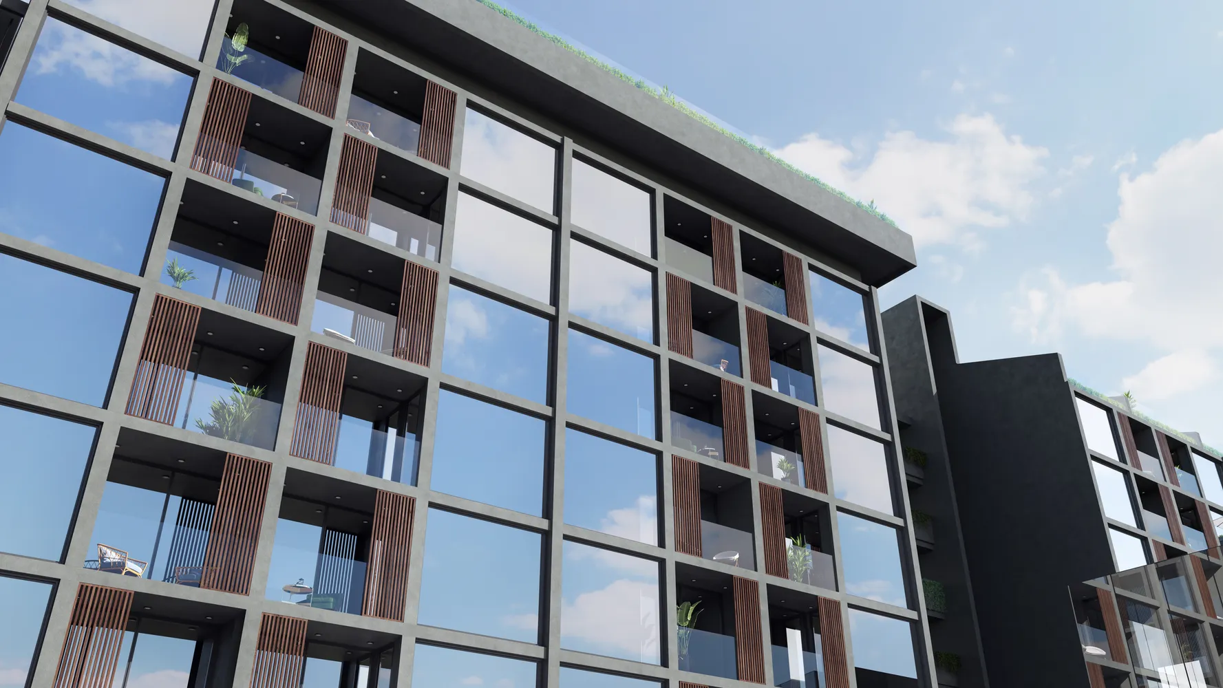 Essence — фото 8